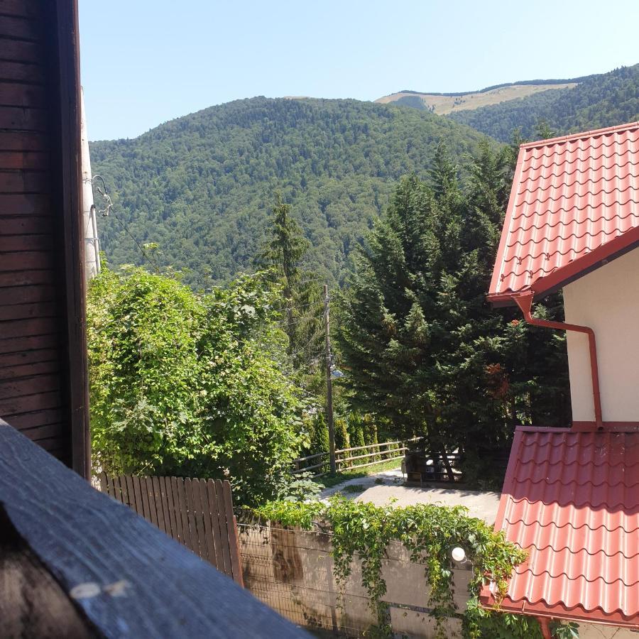 Cabane Sinaia Villa Ngoại thất bức ảnh