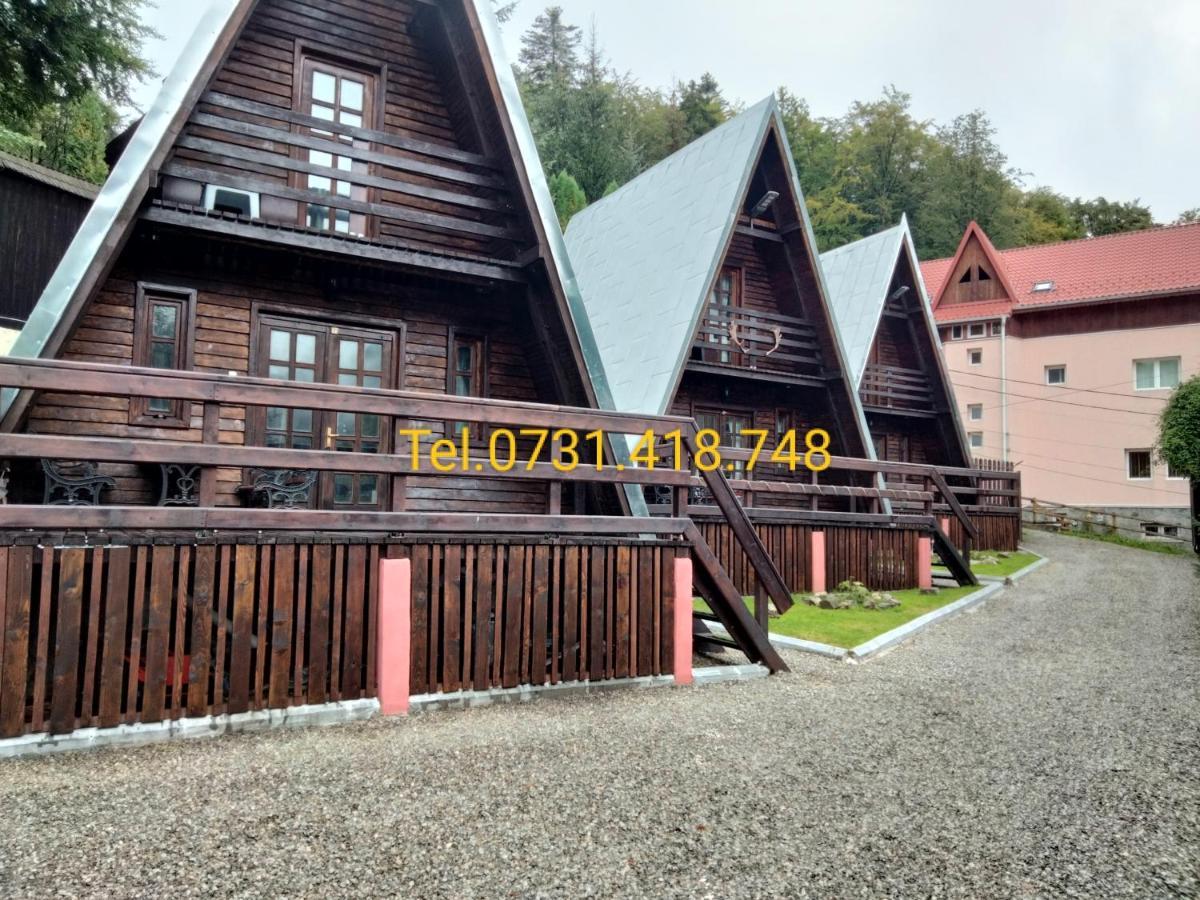 Cabane Sinaia Villa Ngoại thất bức ảnh